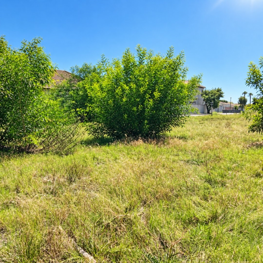  Bedroom Property for Sale in Parklands Western Cape